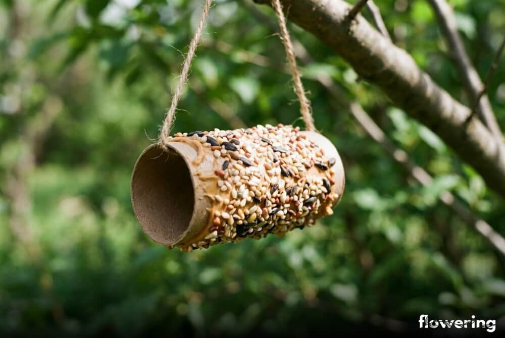 Biodegradowalny karmnik z rolki po papierze obtoczonej w ziarnach, zawieszony na gałęzi