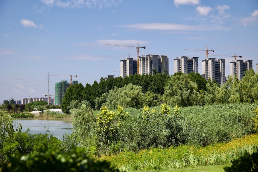 Widok zielonego obszaru, w tle wieżowce