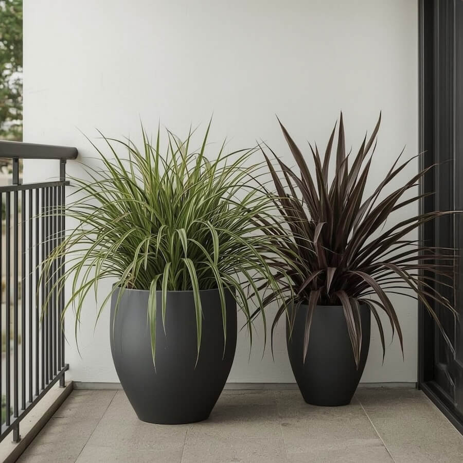 „Black & Gold”, czyli kompozycja z turzycą i czarną mondo