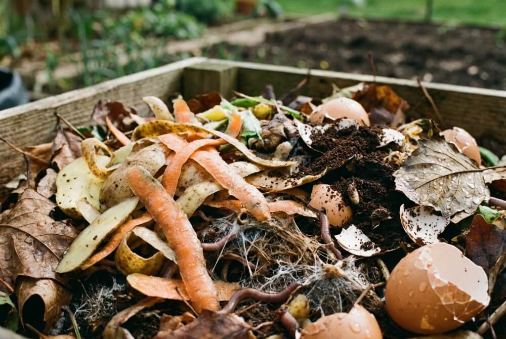 Pryzma kompostu z biodegradowalnych odpadów kuchennych w kompostowniku