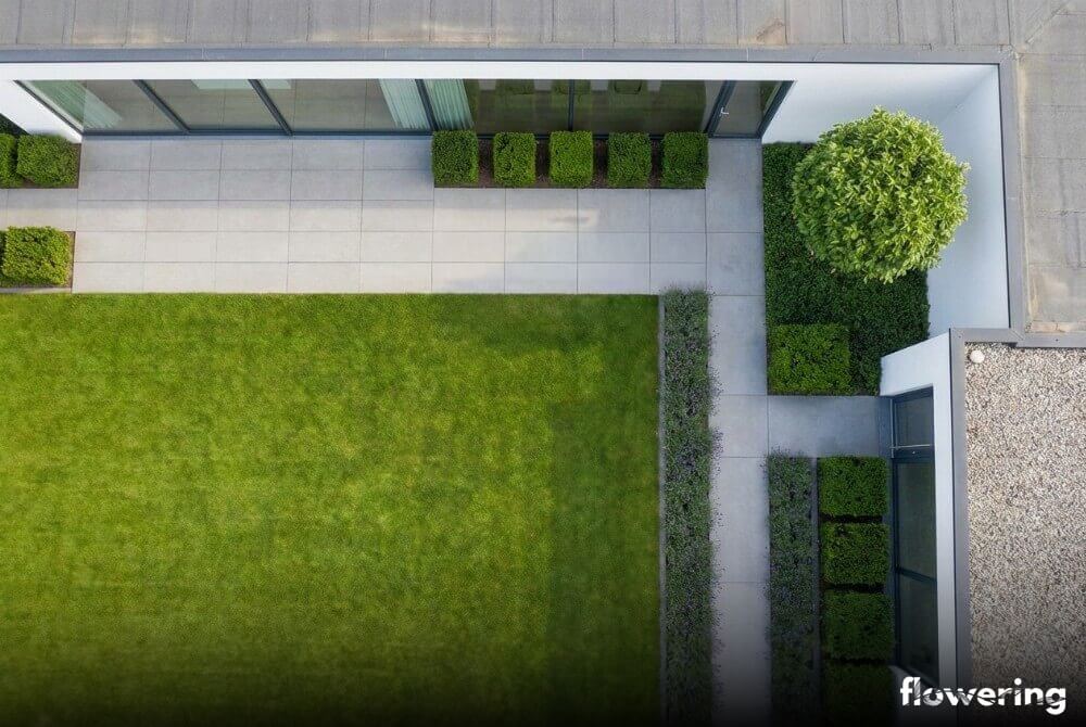 Widok z góry minimalistycznego ogrodu przy domu z prostokątnym trawnikiem, tarasem z płyt, geometrycznym zbiornikiem wodnym i powtarzalnymi nasadzeniami cisa oraz lawendy