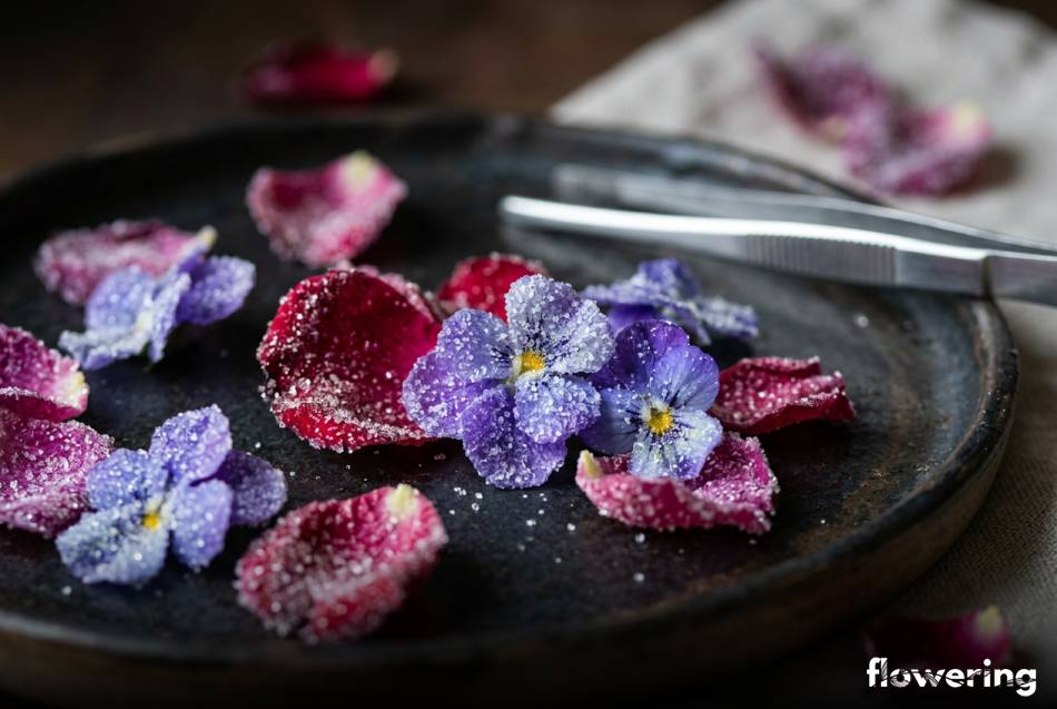 Krystalizowane płatki róż i fiołków oprószone drobnym cukrem